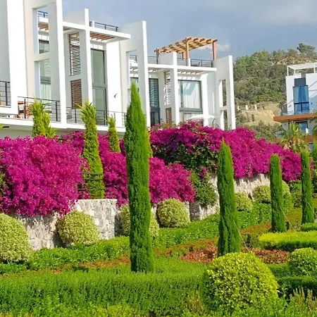 Idyll Homes The Penthouse *