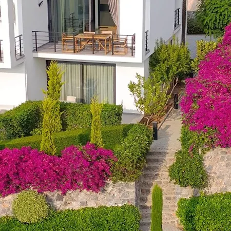 Idyll Homes The Penthouse